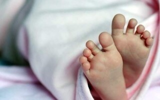 Операции по спасению в Джельфе, Алжир