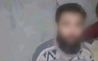 Человек найден через 28 лет в Алжире в сарае для животных у соседа